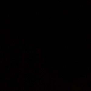 Meet your Posher, Dolores